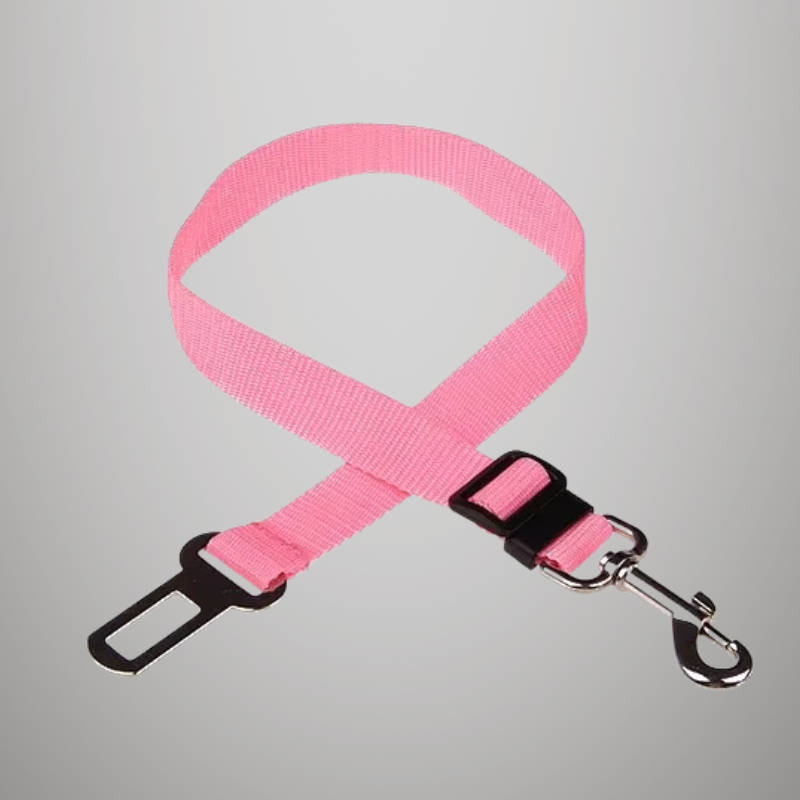 Ceinture de sécurité de voiture réglable pour chat