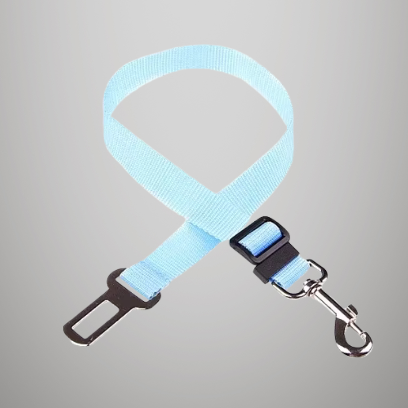 Ceinture de sécurité de voiture réglable pour chat