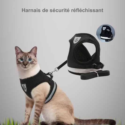Harnais de sécurité pour chat