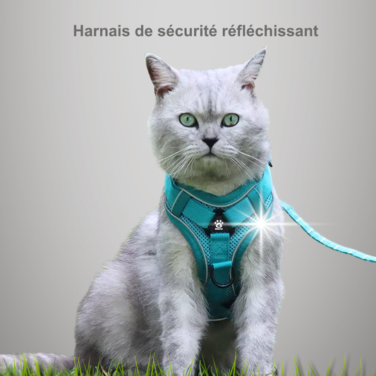 Harnais de sécurité réflechissant pour chat