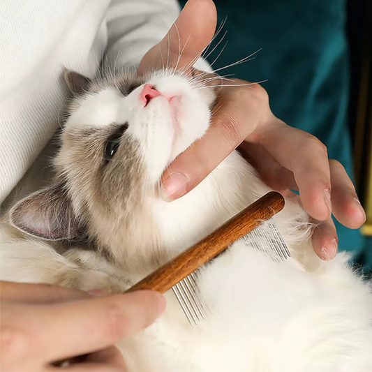 Peigne annti-puces et anti-noeuds pour chat en acier inoxydable, manche en bois