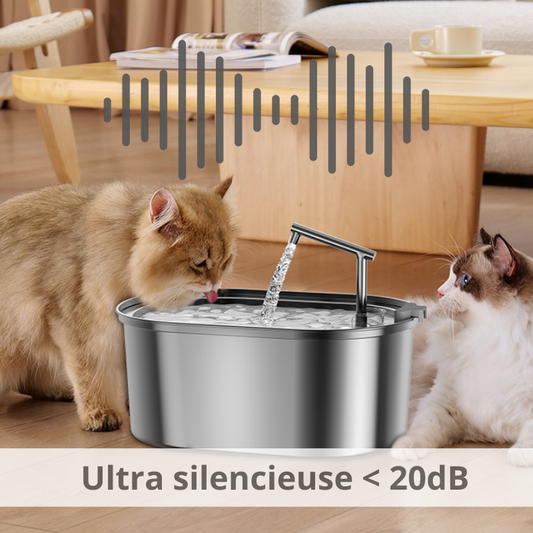 Fontaine à eau inox, 3.2L, 5V