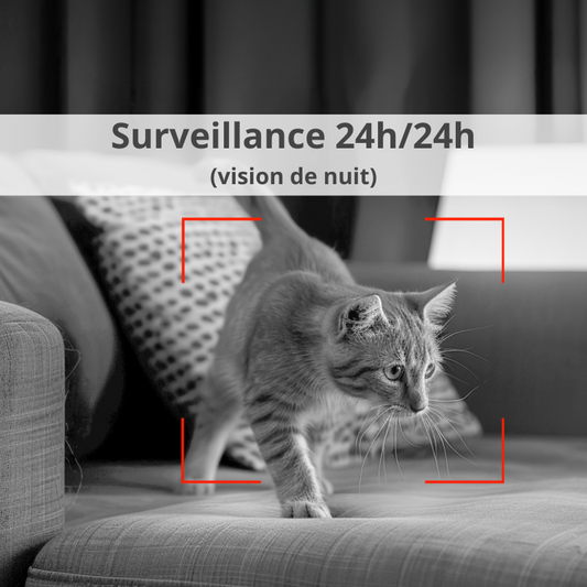 Distributeur de croquettes intelligent avec caméra vidéo, wifi, 3L