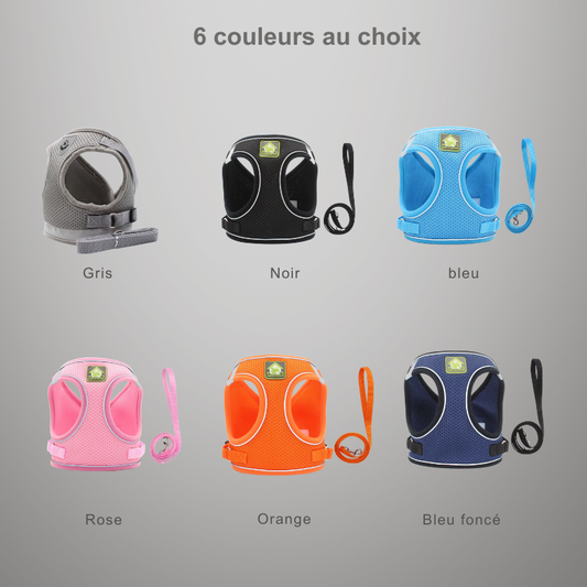 Harnais de sécurité pour chat