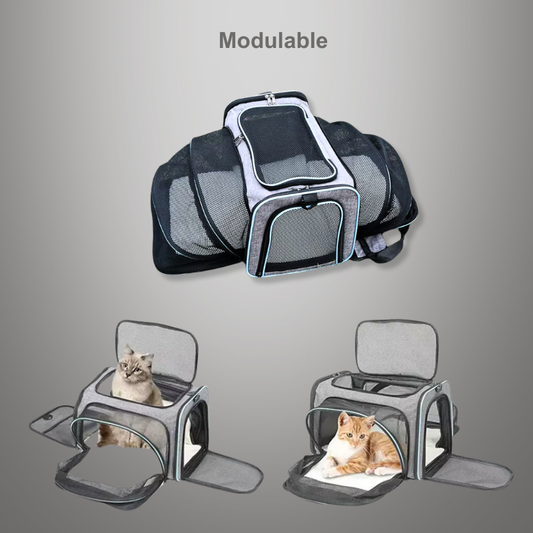 Sac de transport pliable et respirant pour chat