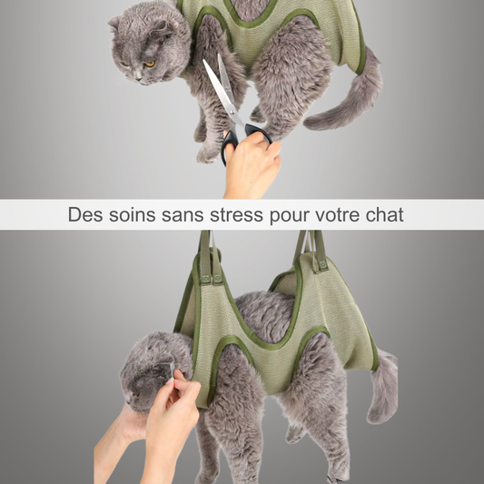 Hamac de toilettage, coupe des griffes, bain et soins sans stress