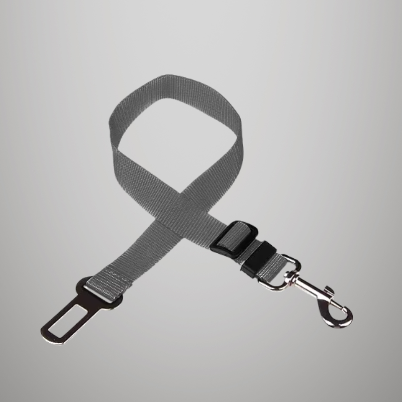 Ceinture de sécurité de voiture réglable pour chat