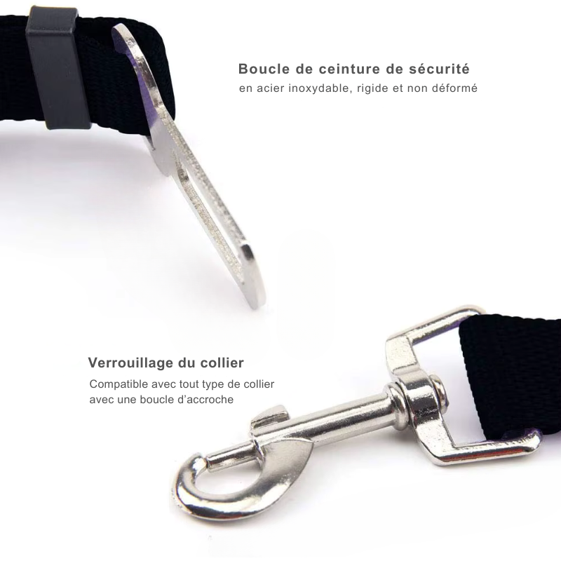 Ceinture de sécurité de voiture réglable pour chat