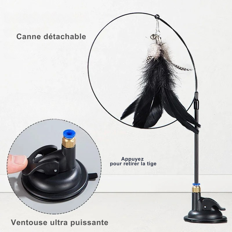 Jouet canne plume d'oiseau