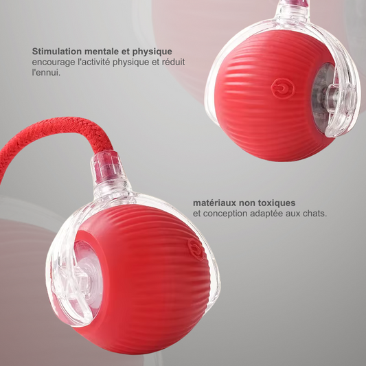 Balle interactive 100% plaisir