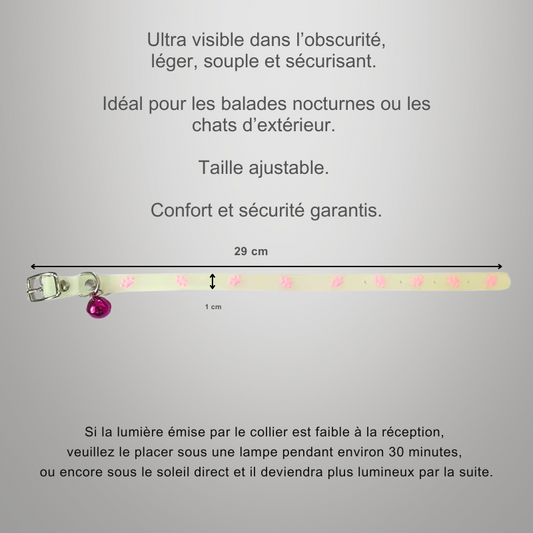 Collier fluorescent de sécurité nocturne pour chat