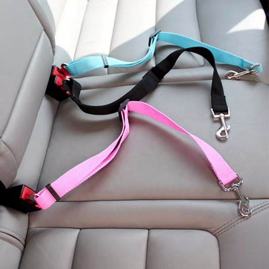 Ceinture de sécurité de voiture réglable pour chat