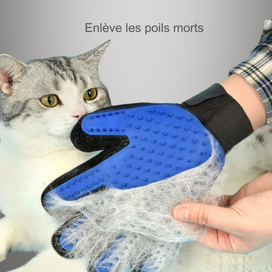 Gants de toilettage en silicone pour chat
