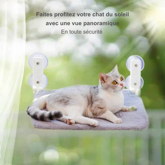 Hamac pliant à ventouse pour vitres