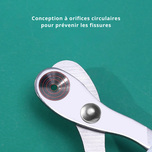 Coupe griffe professionnel en acier inoxydable pour chat