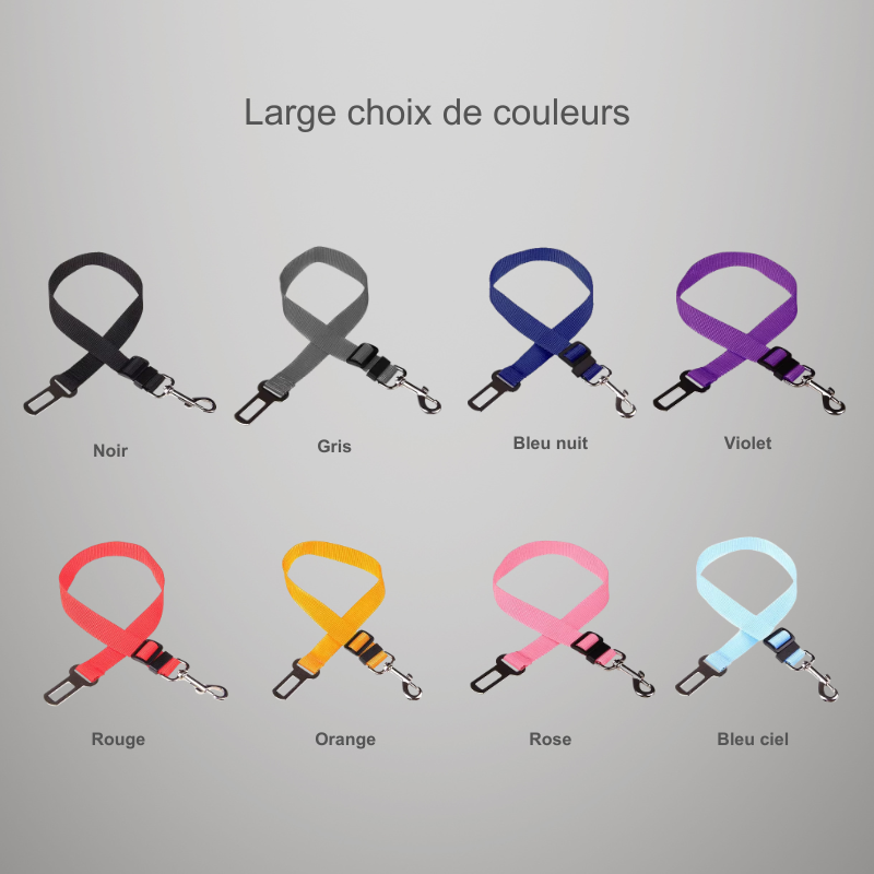 Ceinture de sécurité de voiture réglable pour chat