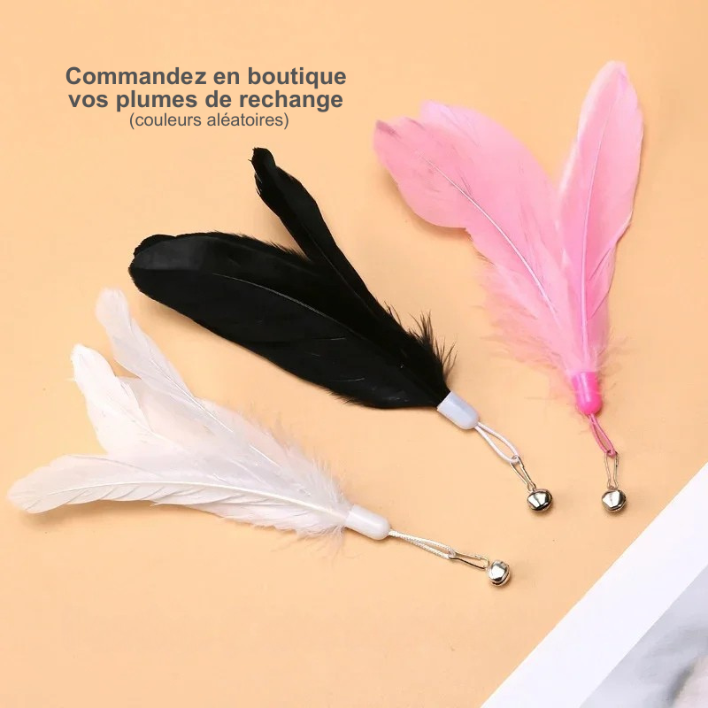 Jouet canne plume d'oiseau