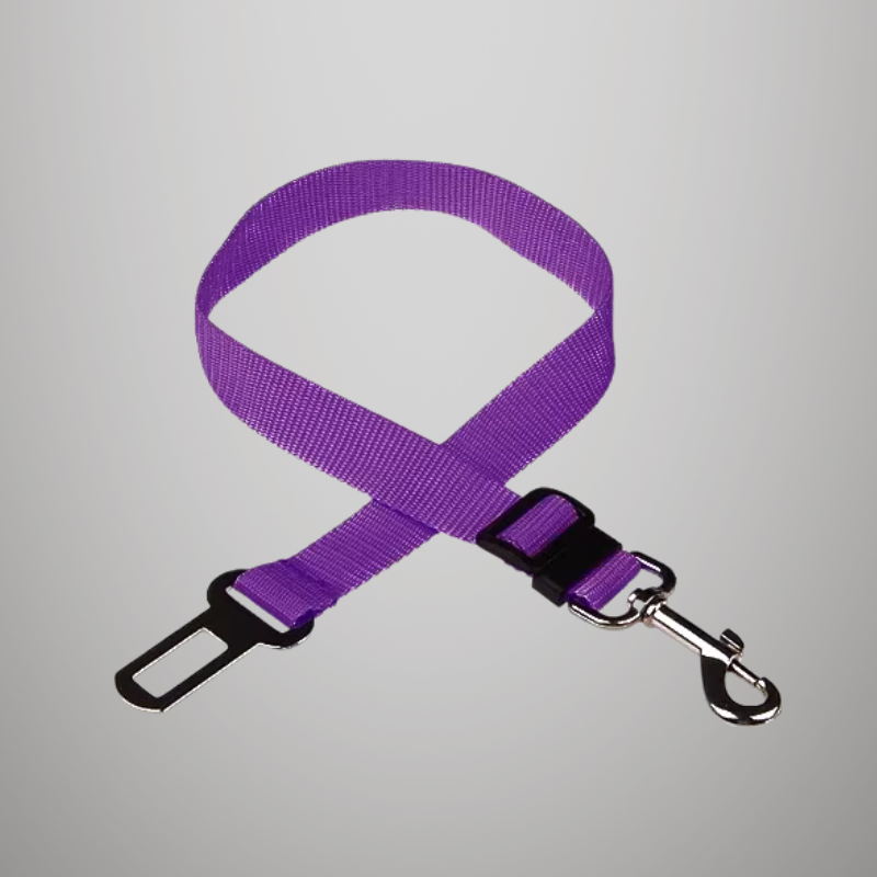 Ceinture de sécurité de voiture réglable pour chat