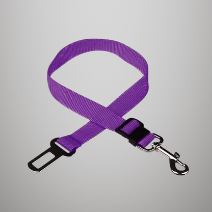Ceinture de sécurité de voiture réglable pour chat
