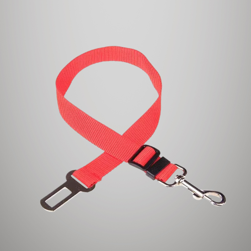 Ceinture de sécurité de voiture réglable pour chat