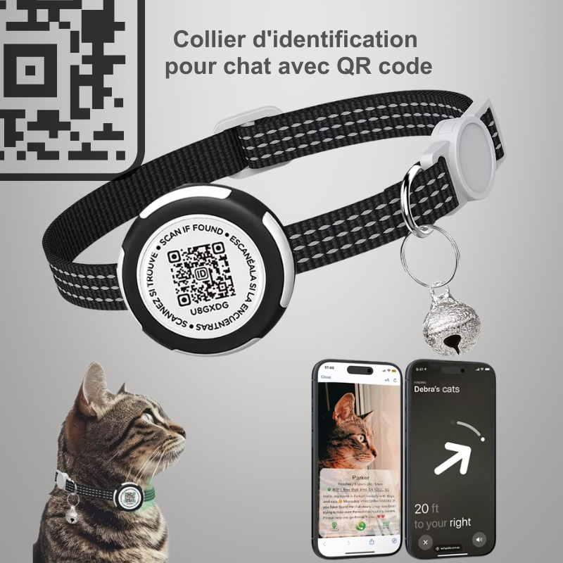 Collier d'identification pour chat avec QR code