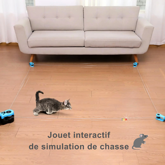 Jouet interactif de simulation de chasse