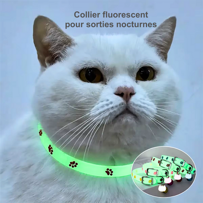 Collier fluorescent de sécurité nocturne pour chat