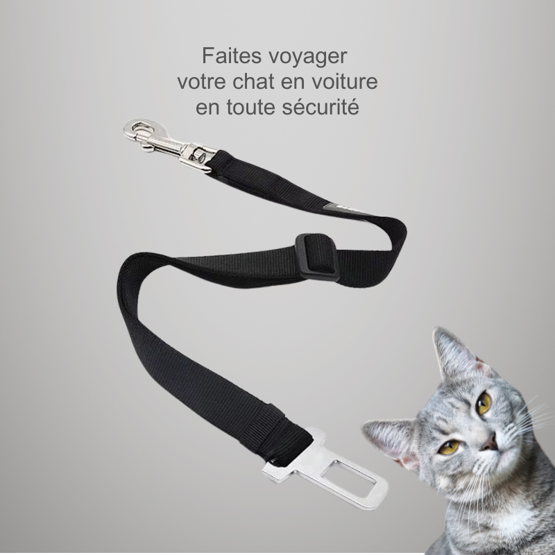 Ceinture de sécurité de voiture réglable pour chat