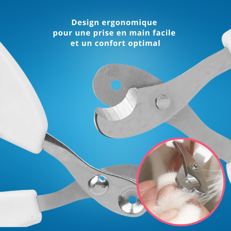 Coupe griffe professionnel en acier inoxydable pour chat