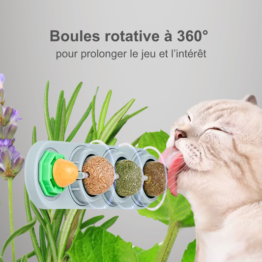 Jouet mural rotatif à herbe à chat – 4 saveurs naturelles