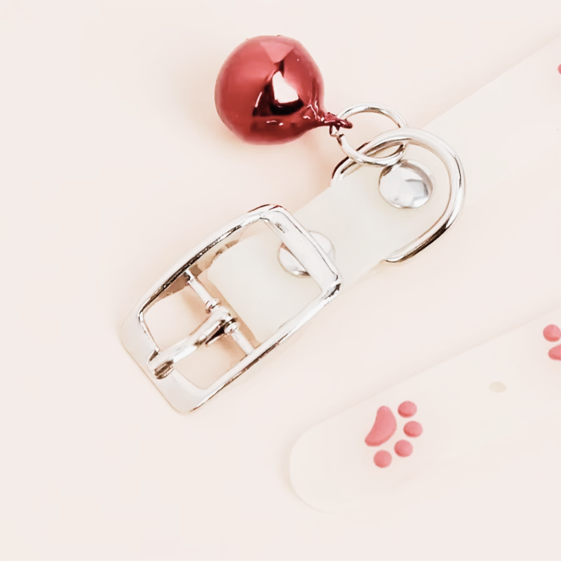 Collier fluorescent de sécurité nocturne pour chat