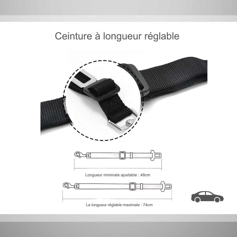 Ceinture de sécurité de voiture réglable pour chat