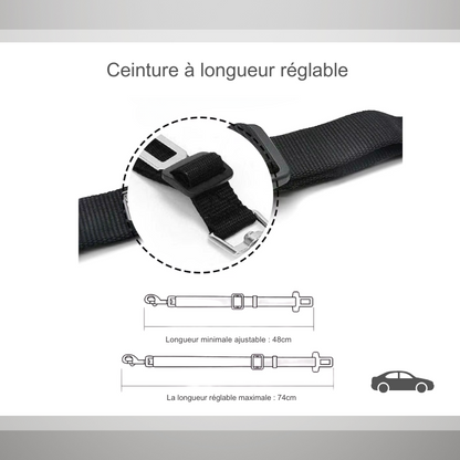 Ceinture de sécurité de voiture réglable pour chat