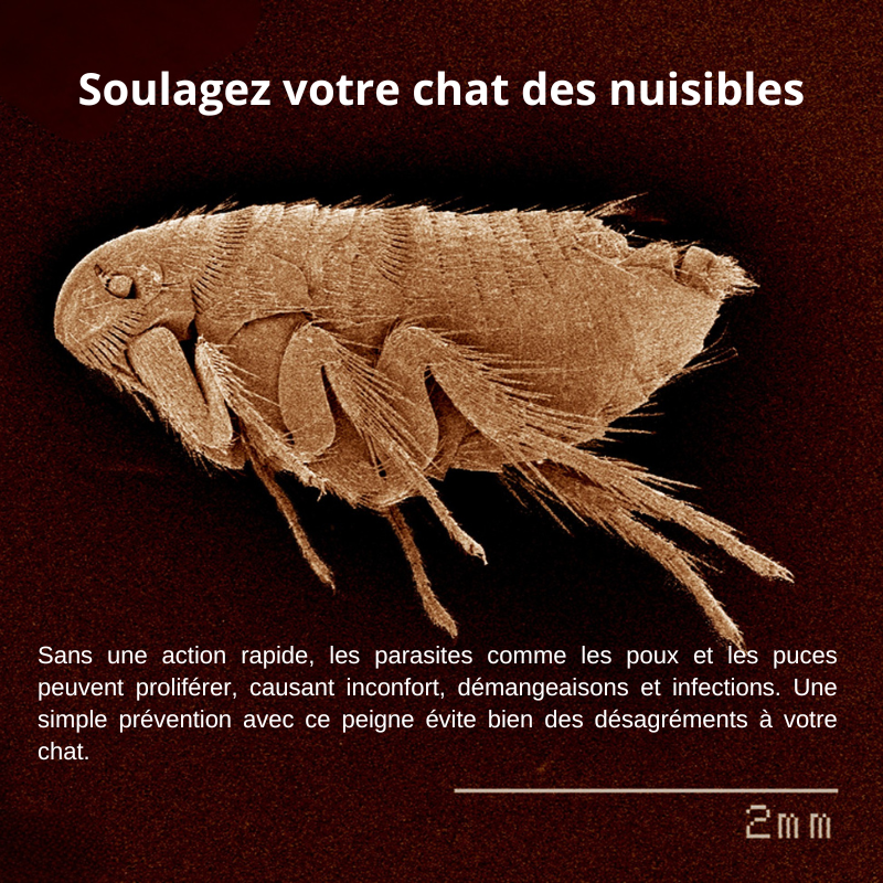 Peigne anti puces en acier inoxydable chat
