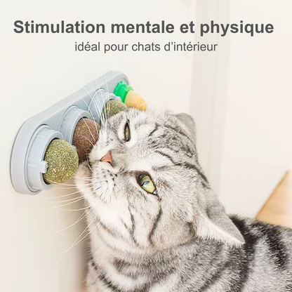 Jouet mural rotatif à herbe à chat – 4 saveurs naturelles
