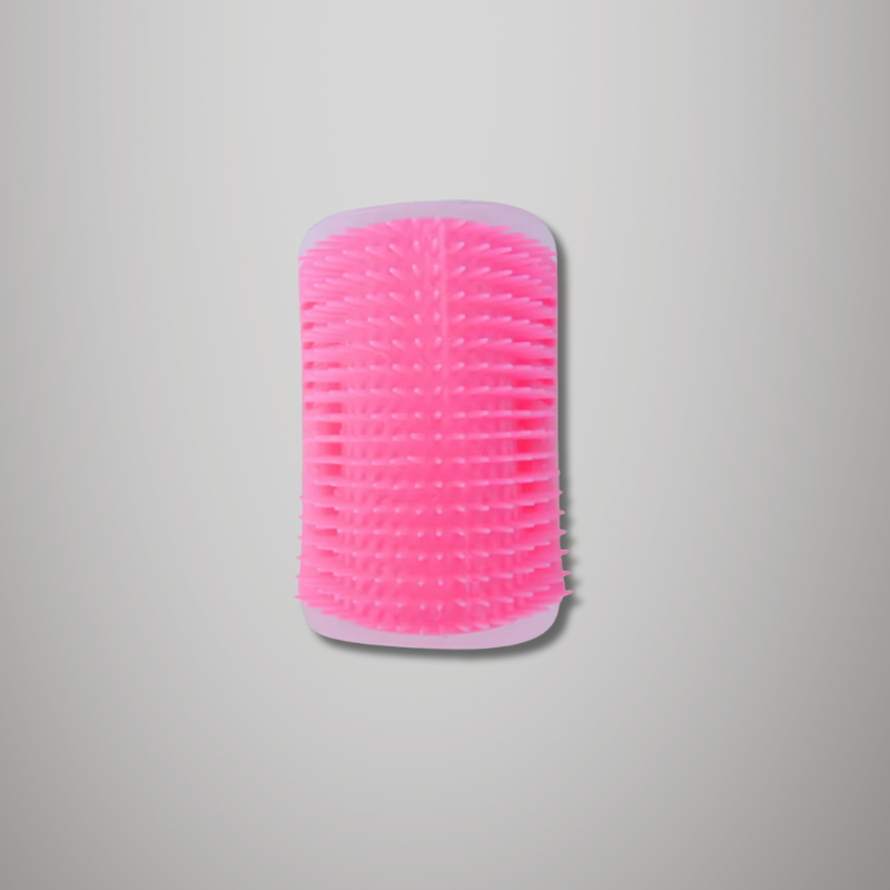 Brosse de massage murale pour chat