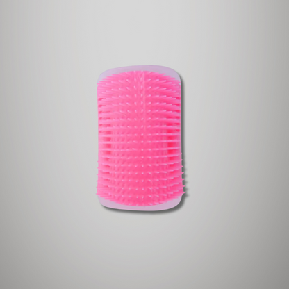 Brosse de massage murale pour chat