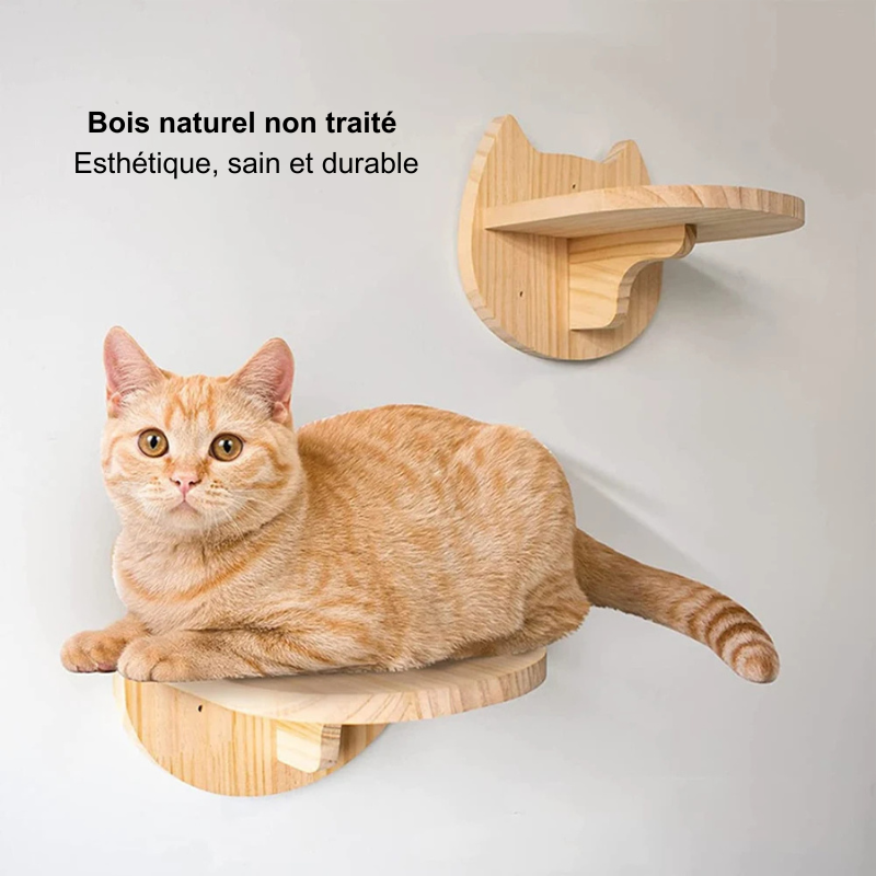 Arbre à chat mural modulable
