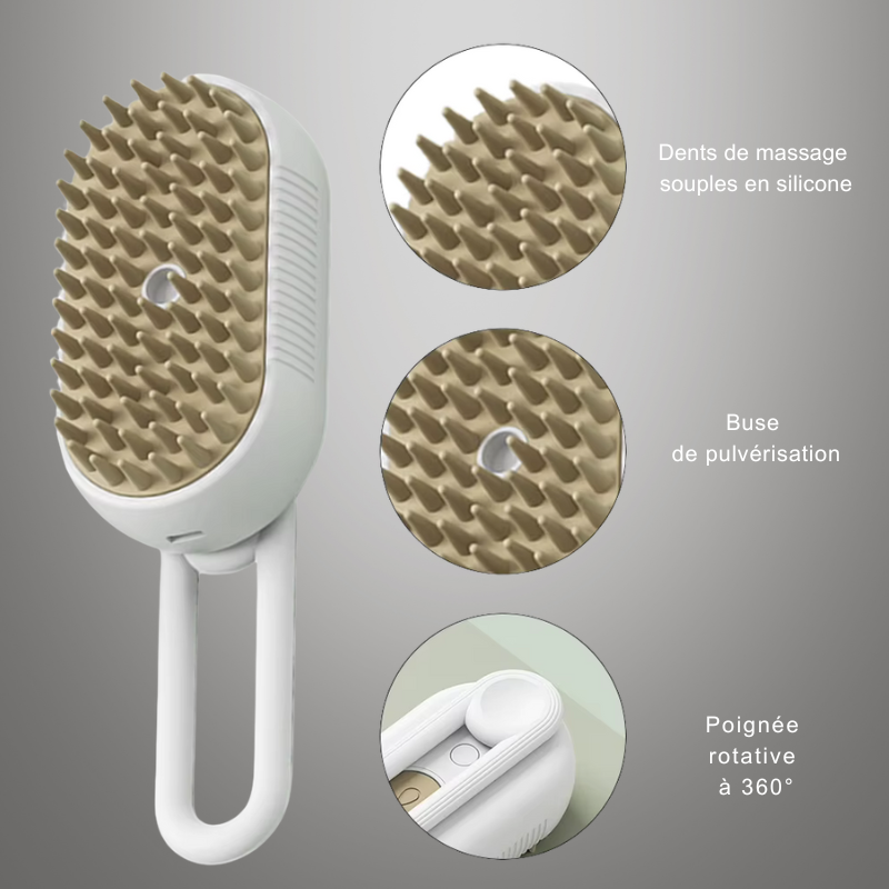 Brosse à vapeur électrique 3 en 1 pour chat