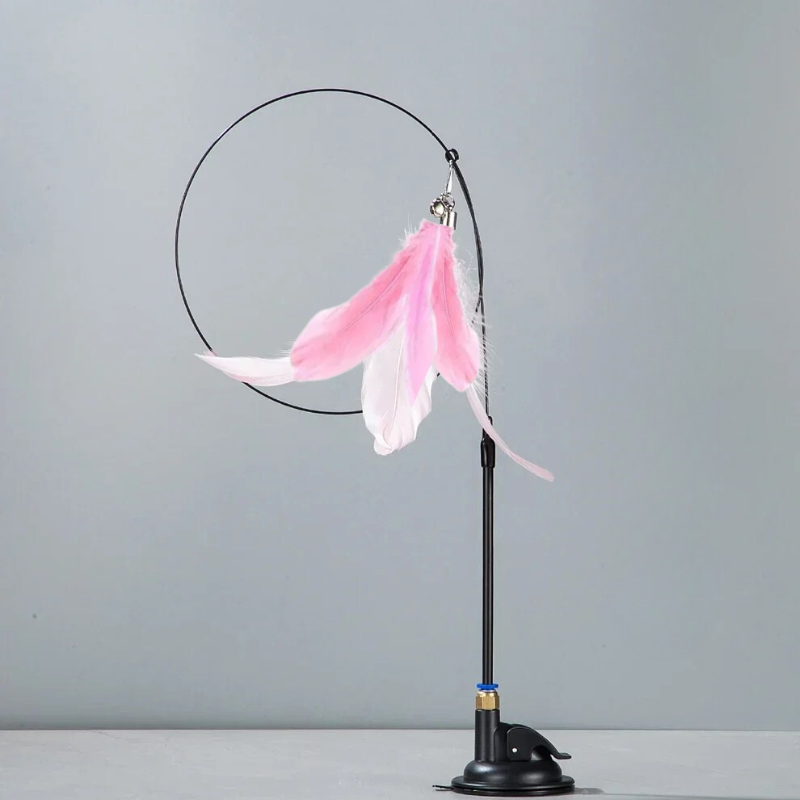 Plume de rechange canne plume d'oiseau