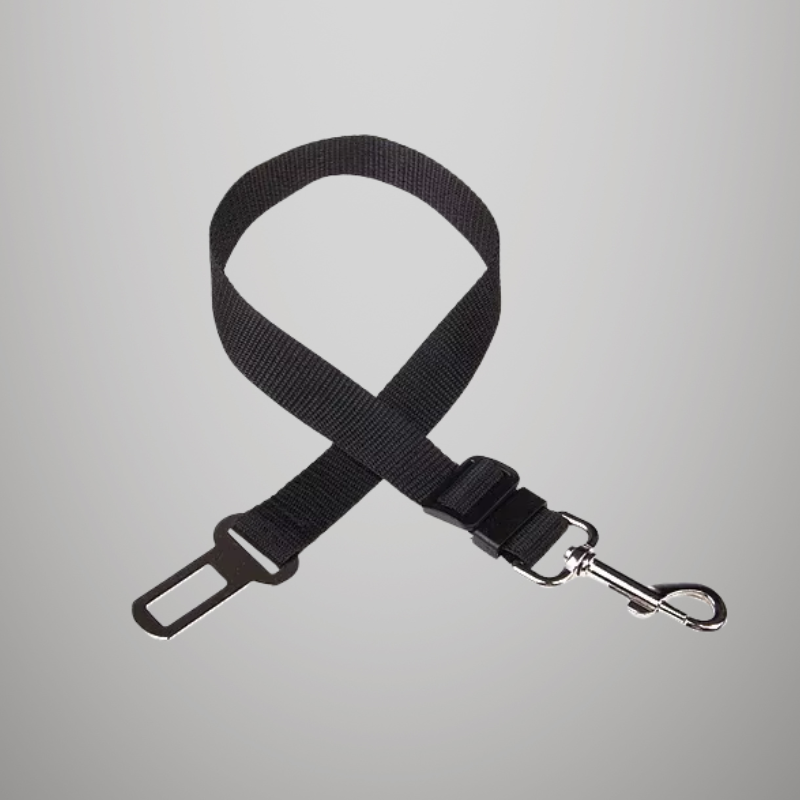 Ceinture de sécurité de voiture réglable pour chat