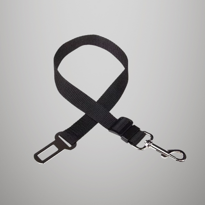 Ceinture de sécurité de voiture réglable pour chat
