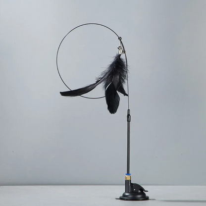 Plume de rechange canne plume d'oiseau