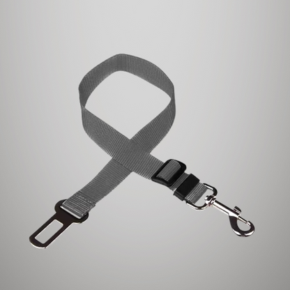 Ceinture de sécurité de voiture réglable pour chat