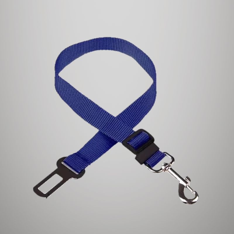 Ceinture de sécurité de voiture réglable pour chat