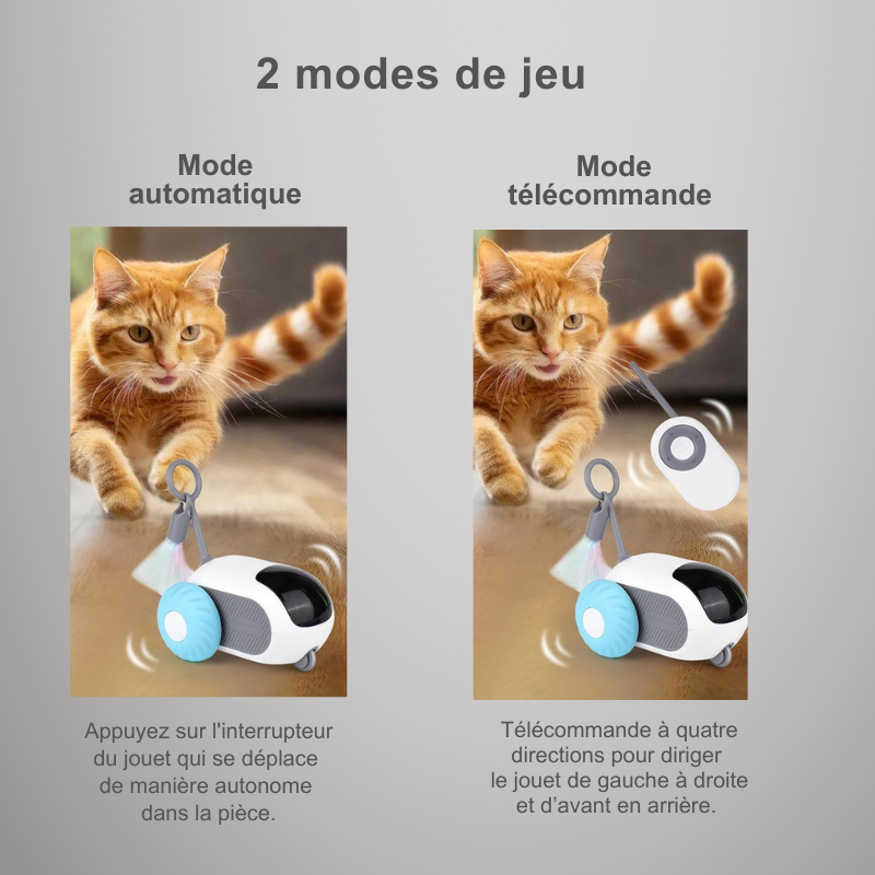 Voiture jouet interactif avec télécommande