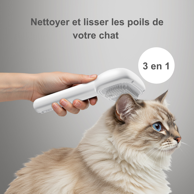 Brosse à Vapeur Électrique pour chat