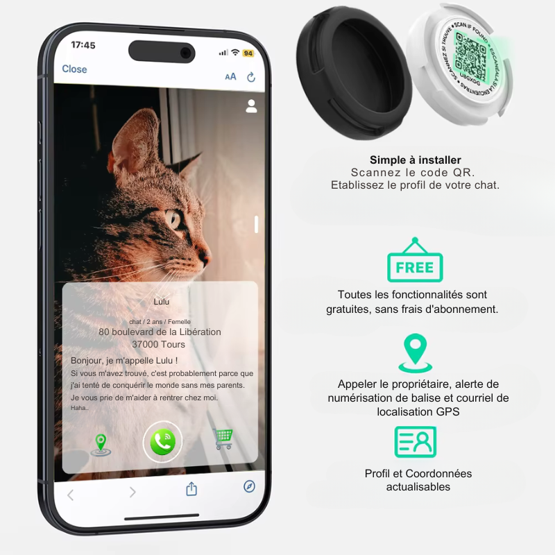 Collier d'identification pour chat avec QR code