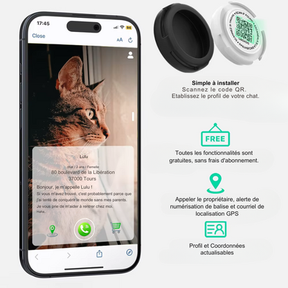 Collier d'identification pour chat avec QR code