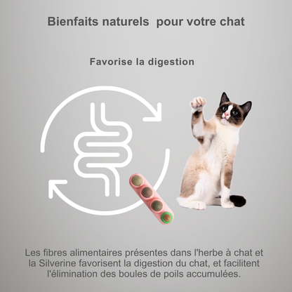 Jouet mural rotatif à herbe à chat – 4 saveurs naturelles